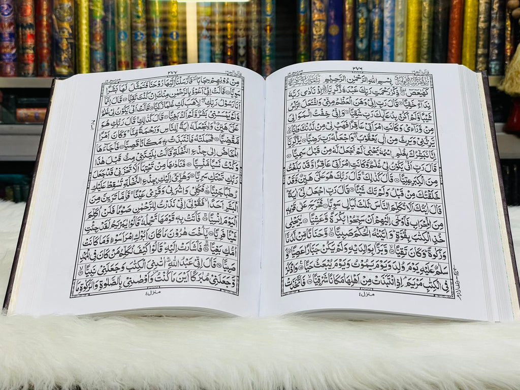 The Holy Quran Without Translation