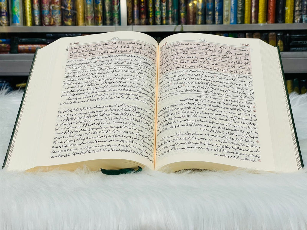 Tafsir Ahsan-Ul-Bayan (Urdu)